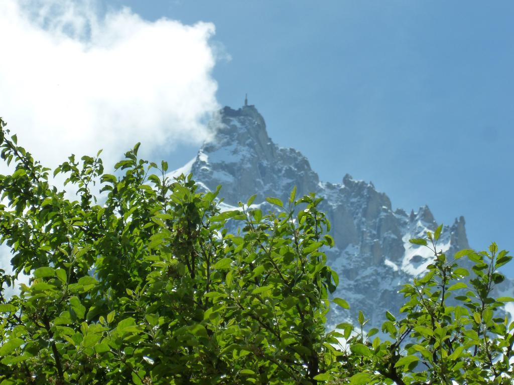 Aiguille Du Midi - Hotel & Restaurant Chamonix Esterno foto